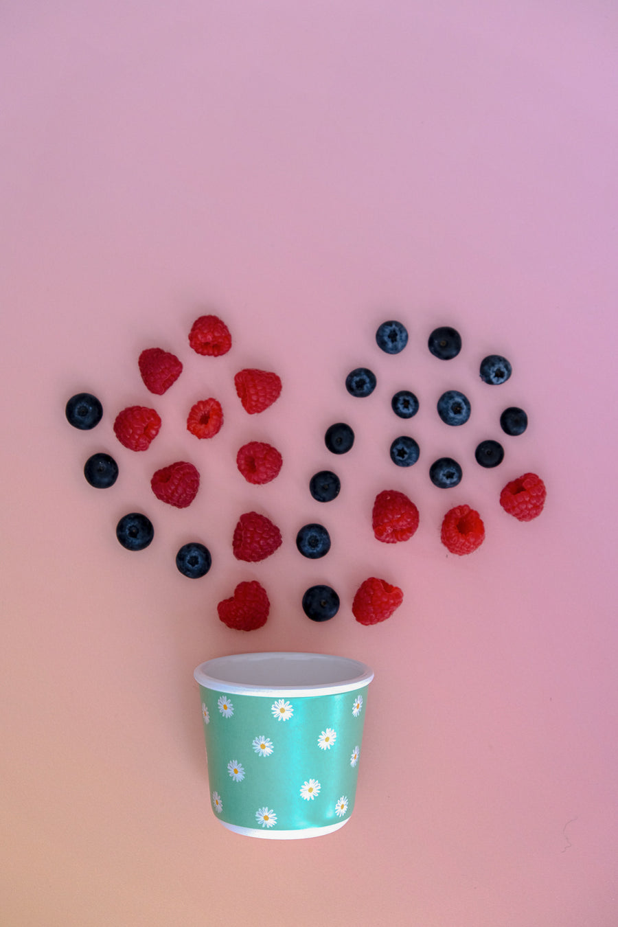 Daisy, BB Snack Pot